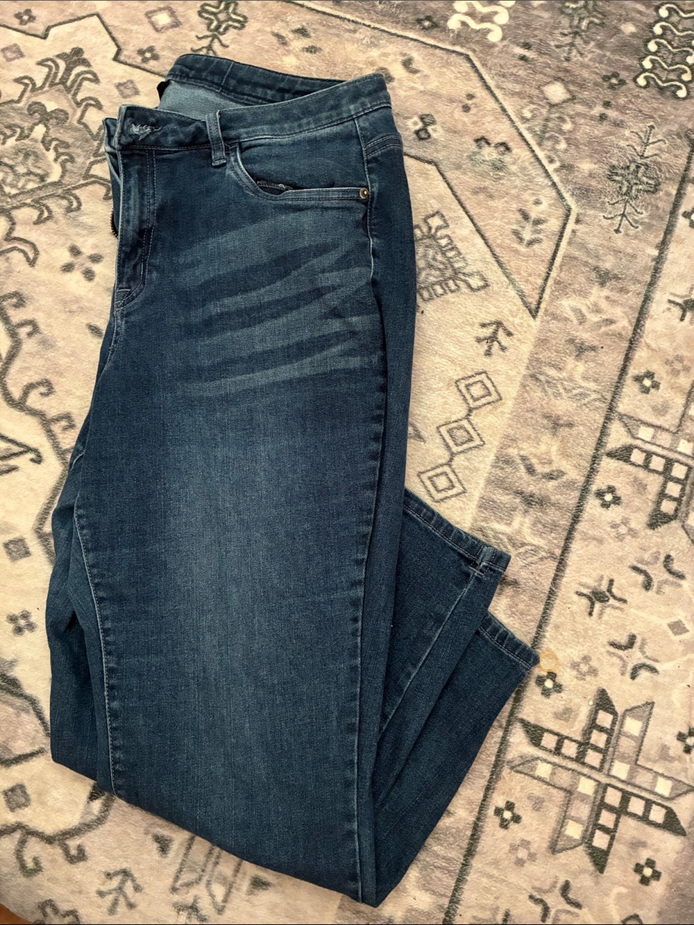 Lane Bryant Women's Dark Blue Skinny Jeans